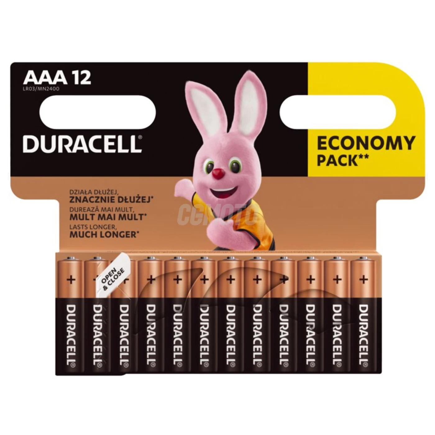 12 piles alcalines AAA 1,5 V Basic 