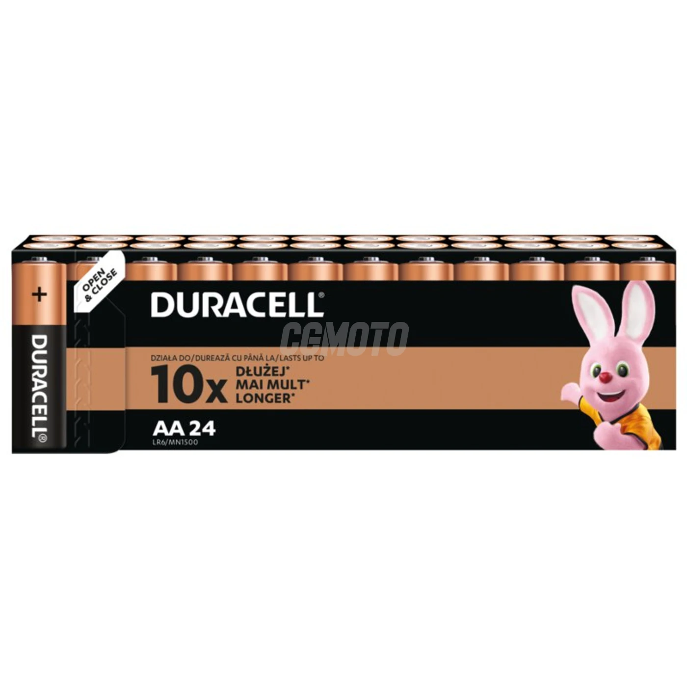 24 piles alcalines AA 1,5 V Basic 