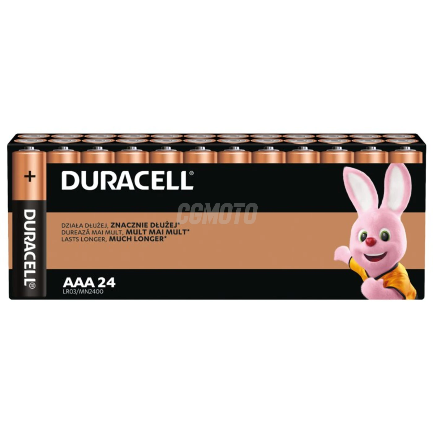 24 piles alcalines AAA 1,5 V Basic 
