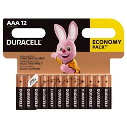 12 piles alcalines AAA 1,5 V Basic 